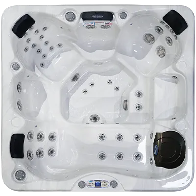 Avalon EC-849L hot tubs for sale in Port St Lucie