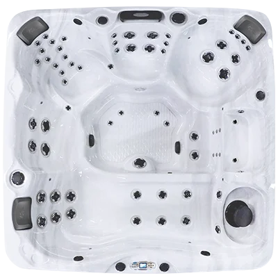 Avalon EC-867L hot tubs for sale in Port St Lucie